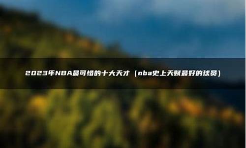 nba最可惜的十大天才是谁_nba最可惜的十大天才是谁啊